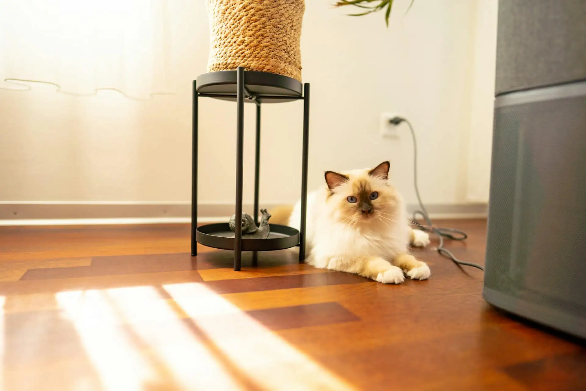 A tidy three-level cat condo with a grey cushion on the middle shelf and a small perch above